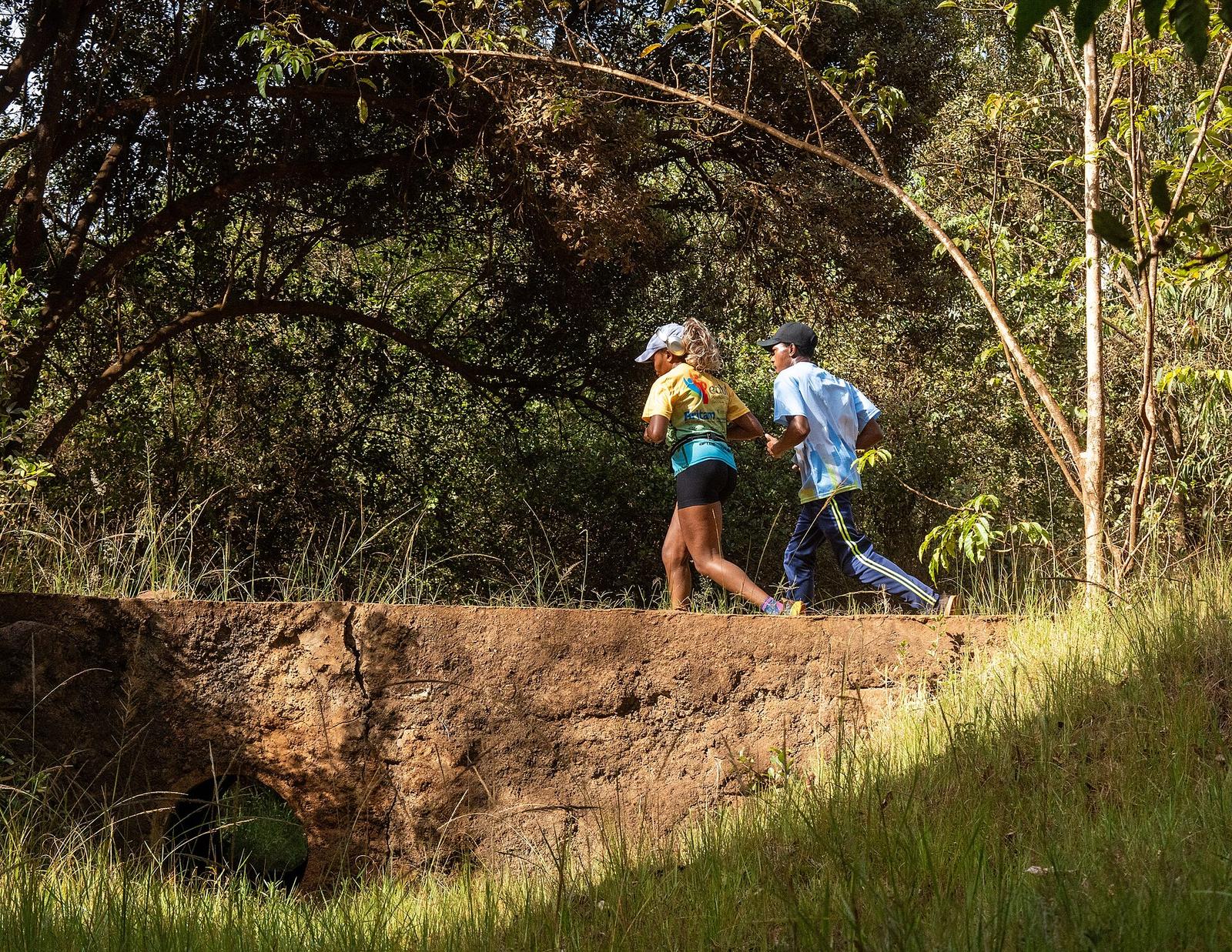 Runners on a forest trail bridge in Karura Forest, Nairobi