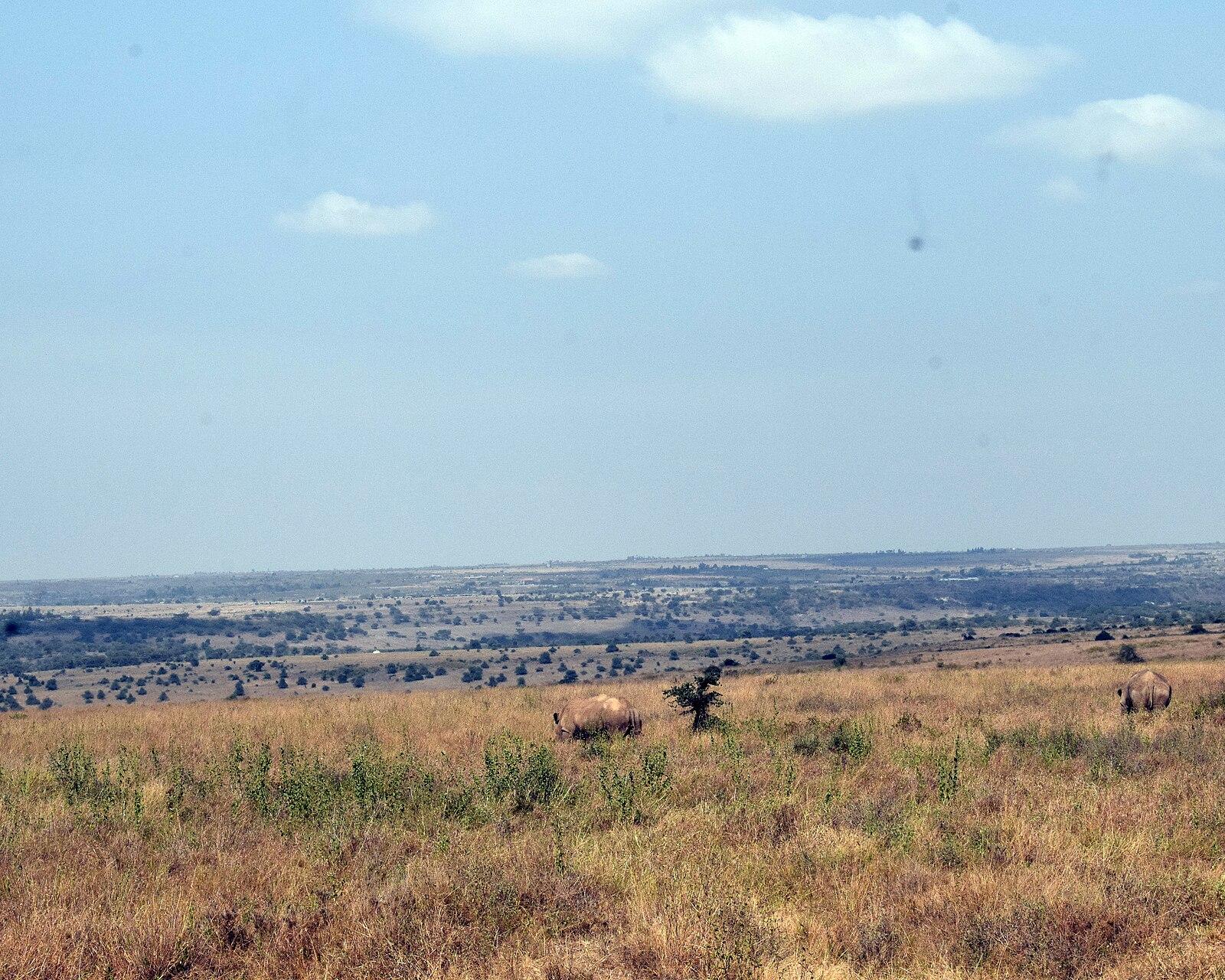 Nairobi National Park, Kenya (17)