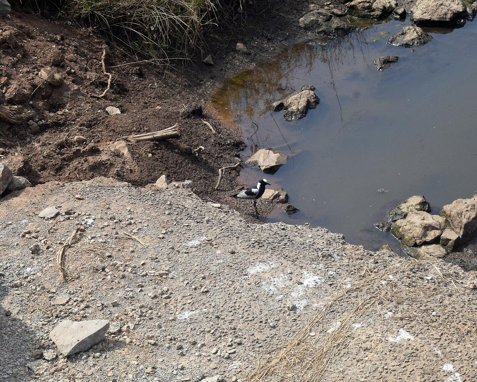 Water Management Startup Aquavolt Closes $12M in Nairobi